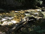 DSCF4528