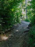 DSCF4576