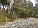 DSCF3891