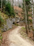 DSCF3914