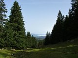 DSCF4820