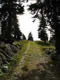 DSCF4822