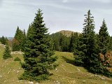 DSCF4828