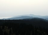 DSCF4829