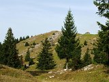 DSCF4831