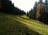 IMG_0056