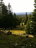 IMG_0069
