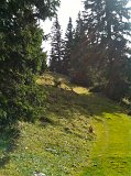 IMG_0070
