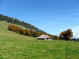 DSCF4702