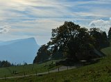 DSCF4741