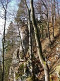 DSCF3931