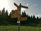 IMG_0078