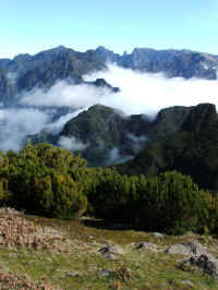 madeira06 044.jpg (76685 Byte)