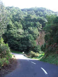 madeira06 109.jpg (108614 Byte)