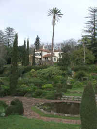 madeira06 172_2.jpg (80898 Byte)