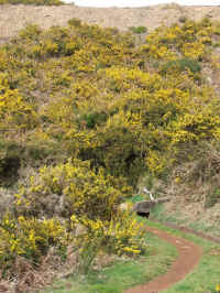 madeira06 229.jpg (150756 Byte)