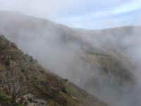 madeira06 248m.jpg (37416 Byte)