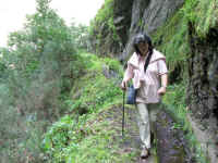 madeira06 248z3.jpg (132549 Byte)