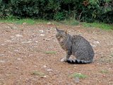 IMG_1923