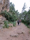 IMG_1929