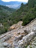IMG_0290