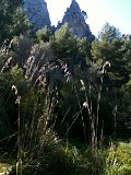 IMG_0211