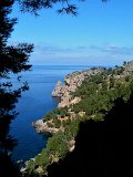 IMG_0213
