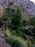 IMG_0217