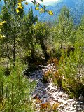 IMG_0223