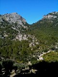 IMG_0225