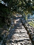 IMG_0230
