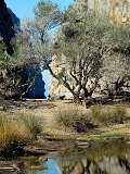 IMG_1798
