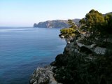 IMG_0259