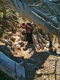 IMG_0262
