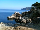 IMG_0263