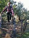 IMG_0267