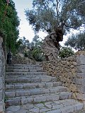 IMG_1879
