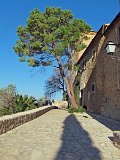 IMG_1881
