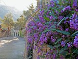 IMG_1883