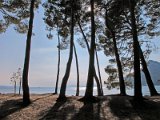 IMG_1856