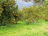 IMG_1863