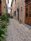 IMG_1867