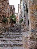 IMG_1868