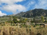 IMG_1954
