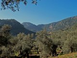 IMG_1821