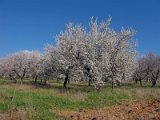 IMG_1825