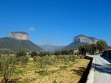IMG_1836