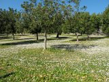IMG_1840