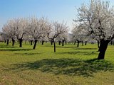IMG_1841