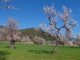 IMG_1842